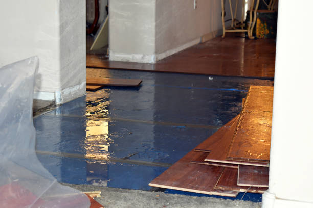 Professional Water Damage Restoration technician working in Crockett, TX